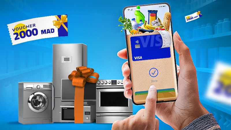 Person paying with a Visa card on a smartphone with household appliances