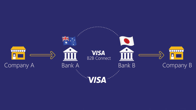 The Visa B2B Connect network. See image description for details.