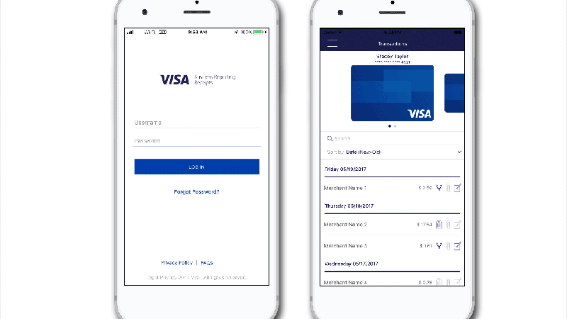 visa business reporting app